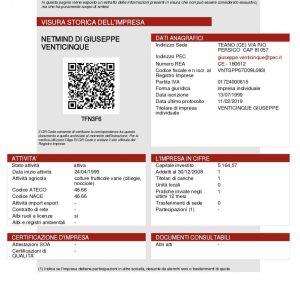 Visura Camerale Storica